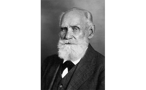 �x���͸�����æ���и�