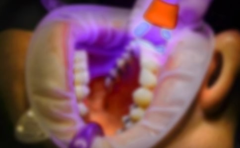 ����v���{���������̰�