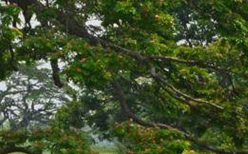 �ח����x�����}����