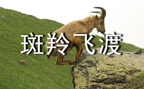 《斑羚飛渡》讀書心得體會(huì)范文