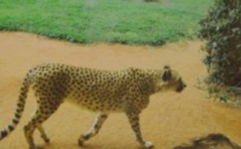 �R�ͱ������꼉(j��)����