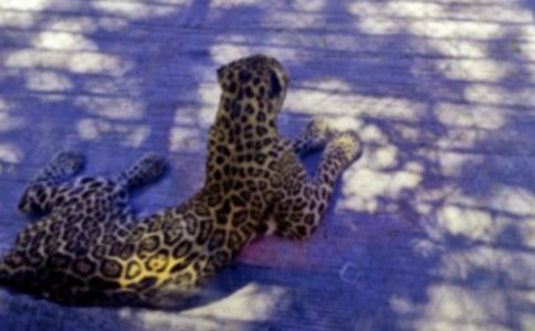 ���Ӻ;�������������