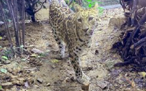 �P��؈���������꼉:�Һ�С����-С�WԒ�}����