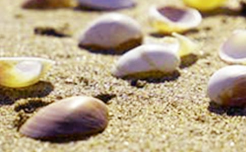 ��ؐ������(ͨ��15ƪ)