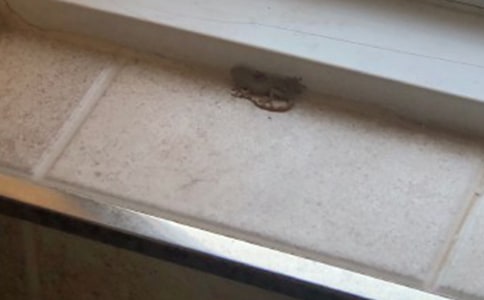 ����Z��С�ڻ���β�ͽ̰���˼�����x17ƪ��