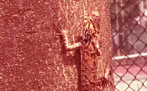 ��С�ڻ���β�͡������n�r�̰��OӋ