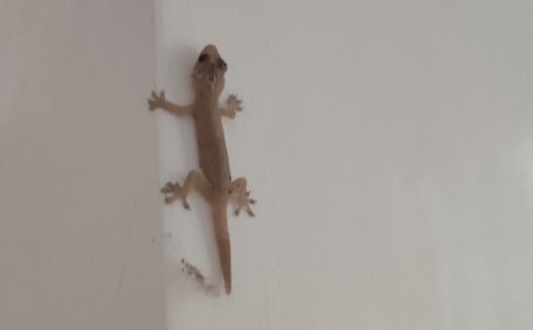 �n�ġ�С�ڻ���β�͡��ڶ��n�r�Ľ̰�