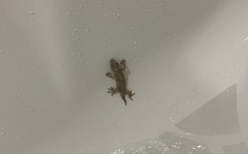 ��С�ڻ���β�͡��̌W��������