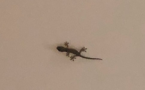 ��С�ڻ���β�͡����|�̌W�OӋ