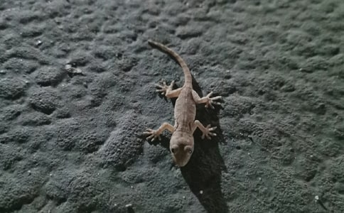 �n�ġ�С�ڻ���β�͡��ă�(y��u)��̰�