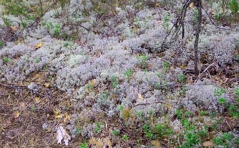 為什么會下冰雹