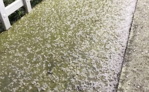 ������ʲô�|���γɵ�