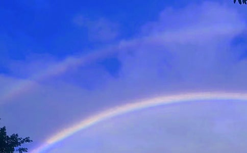 ��Ҋ�ʺ���f�f