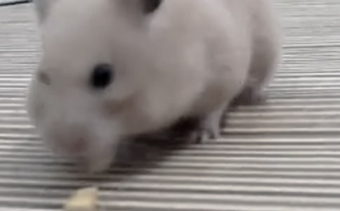 �}���^����ӛ200�֣�ͨ��10ƪ��