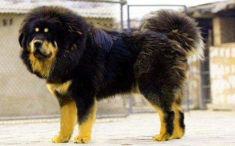 ����ɻ��x���һ����