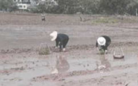 ���������Ľ̰��OӋ