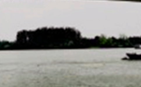 �L��������ۿڹ���������ͨ��5ƪ��