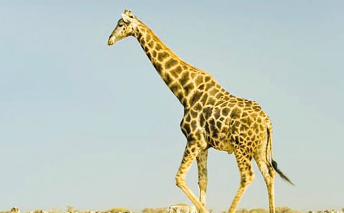 С���w���Α��L�i¹�����ѽ̰�