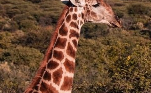 ������g(sh��)��(y��u)��̰����̌W(xu��)��˼���L�i¹��