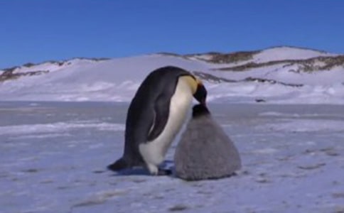 ����Խ�����Đۡ��x���4ƪ