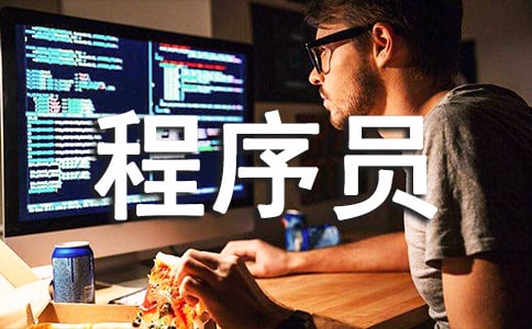 2024年程序員年度個人工作總結(精選20篇)