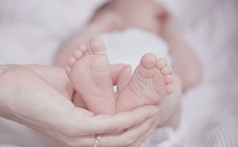 ��������������x���x��У����x8ƪ��