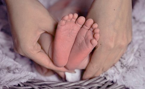 ��������������x���x���550��