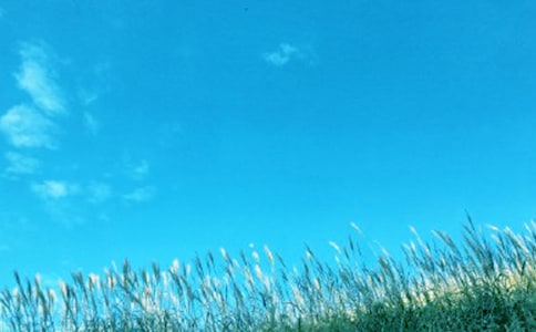 �ֵ����L�Єӹ�����ӿ��Y���ģ����x14ƪ��