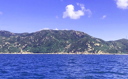 �q�����Đ���ӛ