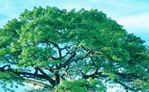 ����С�ݽ̌W�OӋ����