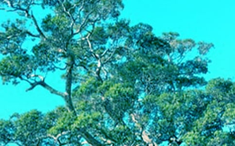 Ұ���Ӻʹ����x�}��