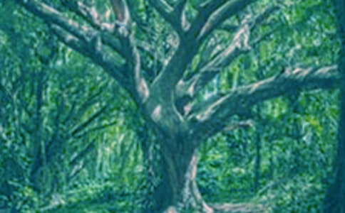 С���c���Č�Ԓ�x��У����x6ƪ��