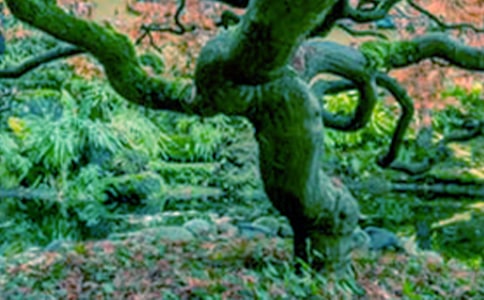 ����Ĵ����x���⾚����