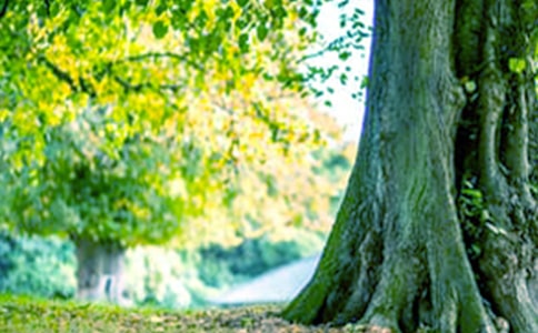 �����ǿô��Ԋ���p��