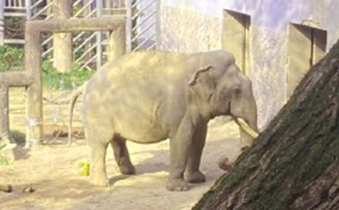 ���һ�^������x��