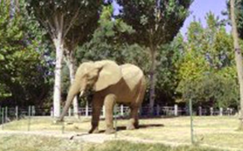 �������ơ�