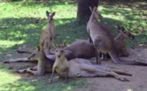 ����w���n���(d��ng)����������