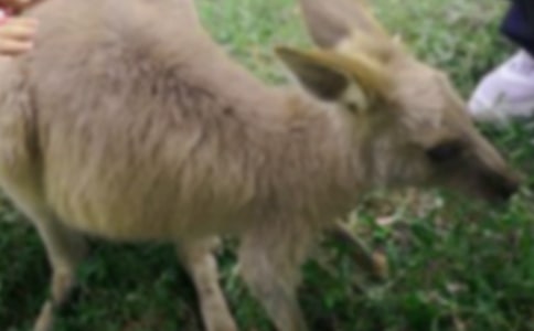 �����󋌋��Ŀڴ����̰���ͨ��10ƪ��