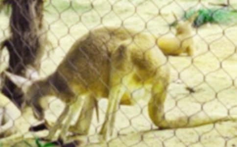 ��С������i�\�ݡ��x���