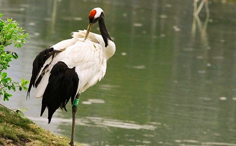 ����Q�����x��з���