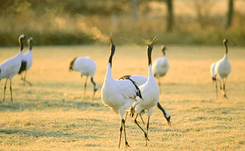 �����ĵ���Q�ڶ��n�r�̌W��˼����