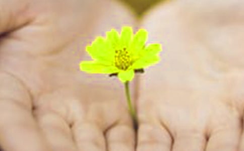 ��Gѿ��Ǹ�F������x��