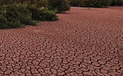 ���������������x��з���