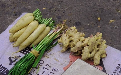 �[�ؔ�����V���~�R��