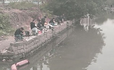 ���P��~�����꼉��ӛ300�֣����x5ƪ��