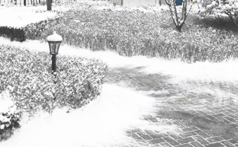 ������ѩ���(d��ng)�������ģ����x19ƪ��