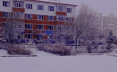 冬日休閑曬太陽心情日記