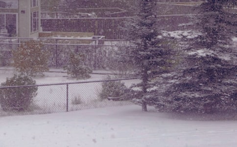 ����ϴ��������ӛ