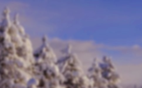 冬天的風詩歌19首