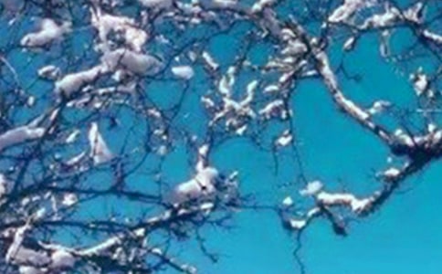 ���ݶ�����~�Z8ƪ